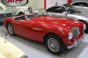 AUSTIN HEALEY 1954